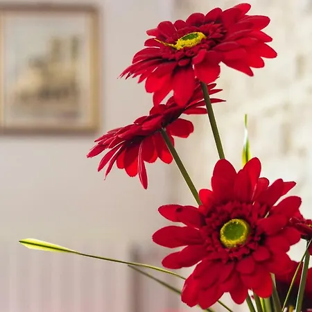 Sant'andrea Apartman *